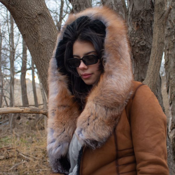 Chantal's Tan Shearling coat with large fox fur hoodie and trim - Image 2